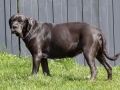 Olga 46. Tag der Trächtigkeit