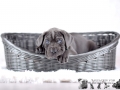 Golem vom Warliner Rudel