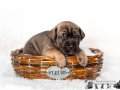 DSC8764