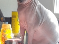 20170503_091237