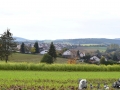 Tour Oktober 2020 Saupacker vom Warliner Rudel